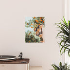 Orange Tree Fruits Print, Barcelona Spain Print, Orange Fruits Wall Art Print, Urban Photography, Tropical Summer Print Poster Gallery Image 2