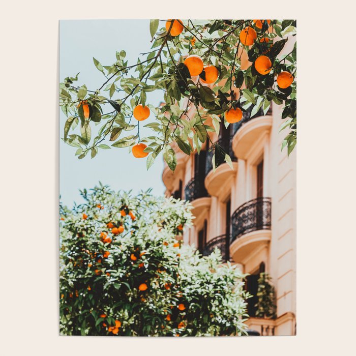 Orange Tree Fruits Print, Barcelona Spain Print, Orange Fruits Wall Art Print, Urban Photography, Tropical Summer Print Poster Gallery Image 4