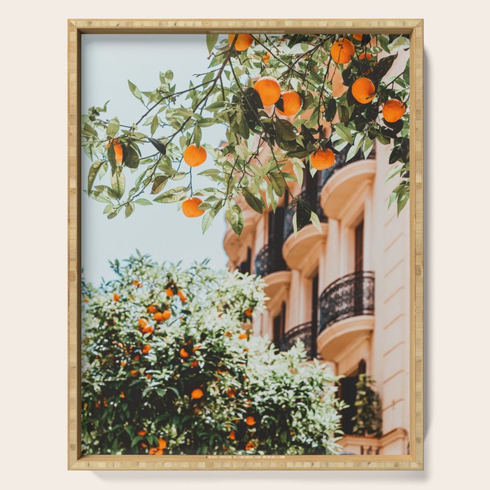Orange Tree Fruits Print, Barcelona Spain Print, Orange Fruits Wall Art Print, Urban Photography, Tropical Summer Print Serving Tray Gallery Image 1