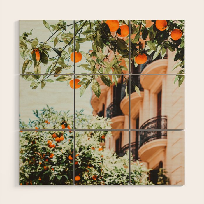Orange Tree Fruits Print, Barcelona Spain Print, Orange Fruits Wall Art Print, Urban Photography, Tropical Summer Print Wood Wall Art Gallery Image 1