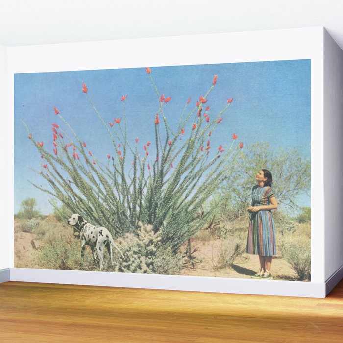 Desert Dots Wall Mural Gallery Image 2