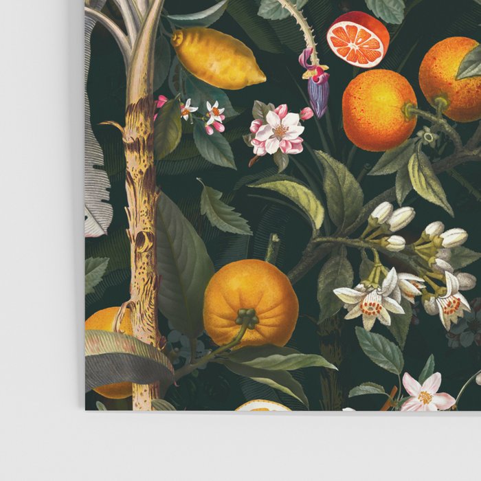 Vintage Fruit Pattern XXII Poster Gallery Image 3