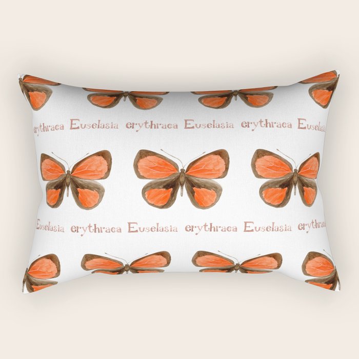 Butterfly - Euselasia erythraea Rectangular Pillow Gallery Image 1