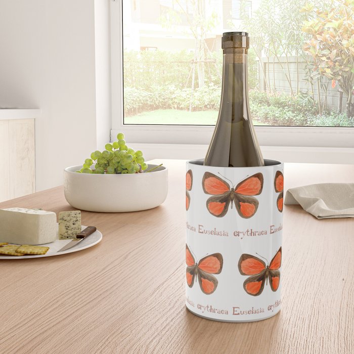 Butterfly - Euselasia erythraea Wine Chiller Gallery Image 4