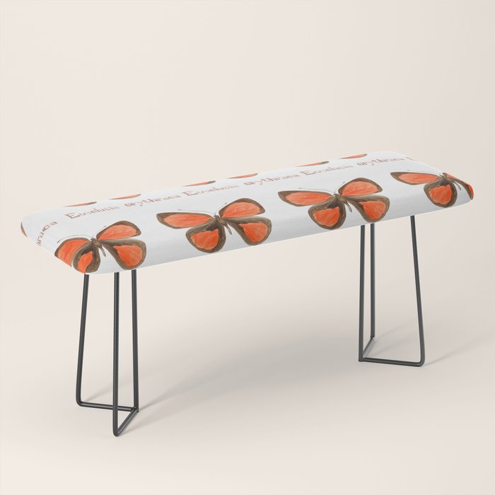 Butterfly - Euselasia erythraea Bench Gallery Image 1