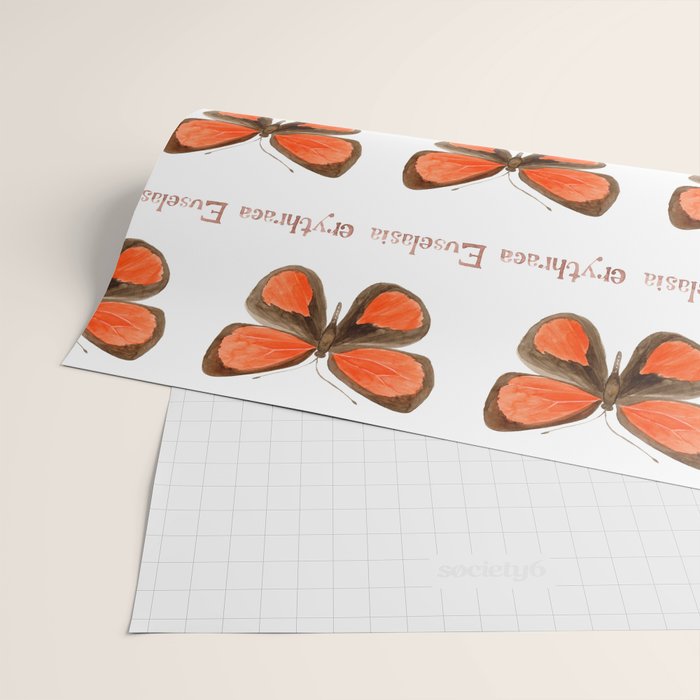 Butterfly - Euselasia erythraea Wrapping Paper Gallery Image 2