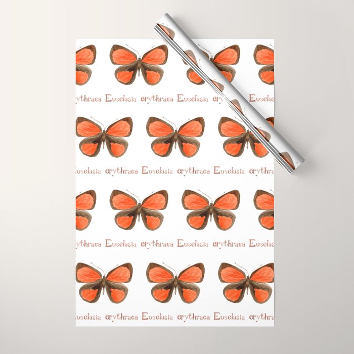 Butterfly - Euselasia erythraea Wrapping Paper Gallery Image 1