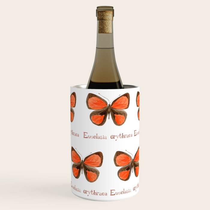 Butterfly - Euselasia erythraea Wine Chiller Gallery Image 2