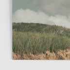 Summer Clouds Poster Gallery Image 3