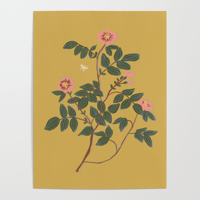 Botanical illustration Poster Gallery Image 4