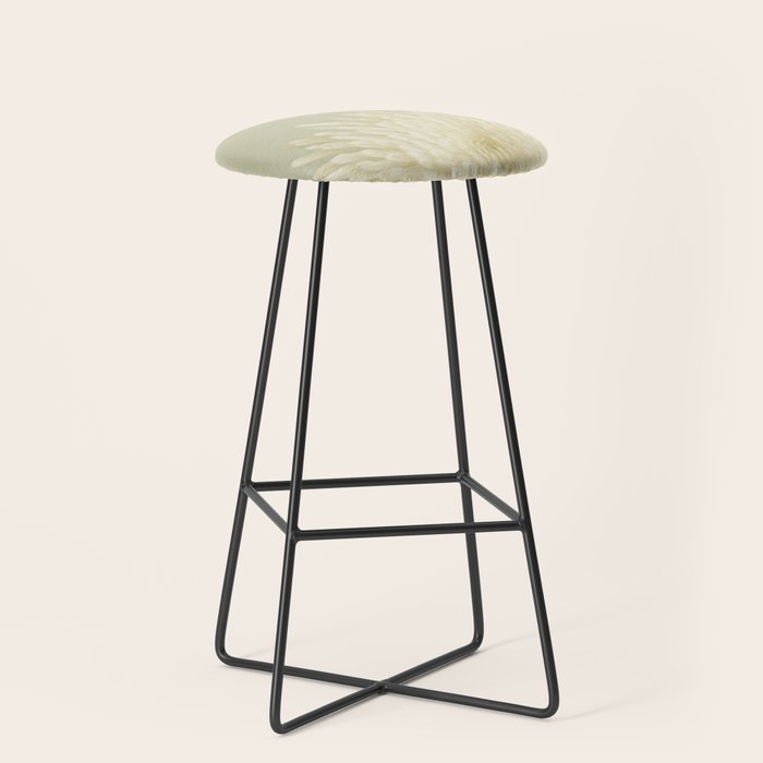 Pale Beauty Stool Gallery Image 1