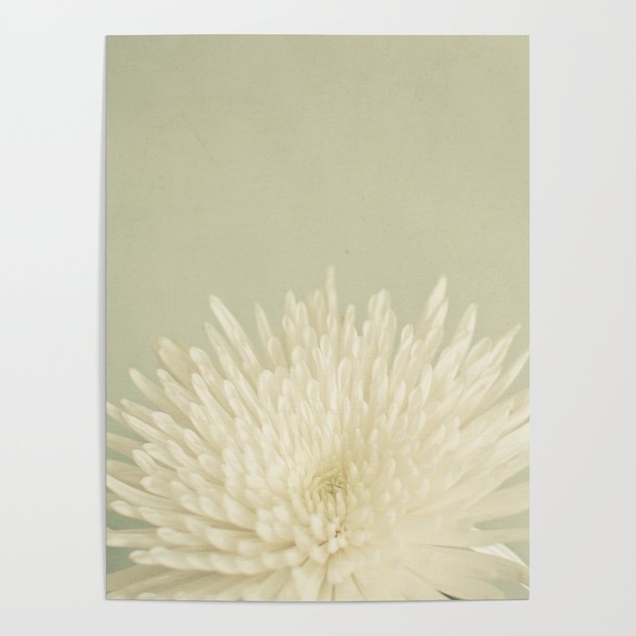 Pale Beauty Poster Gallery Image 1