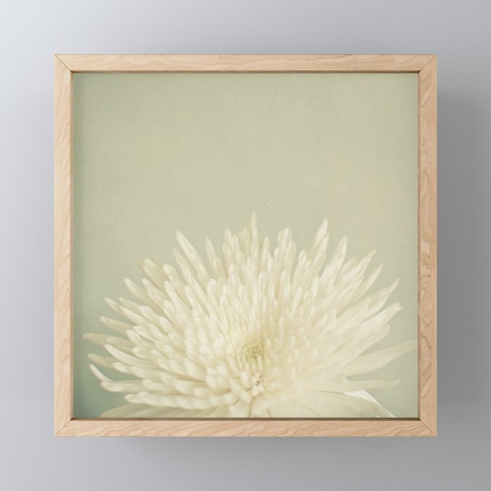 Pale Beauty Mini Art Print Gallery Image 1