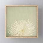 Pale Beauty Mini Art Print Gallery Image 1