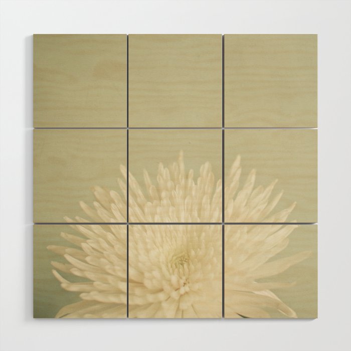 Pale Beauty Wood Wall Art Gallery Image 1