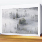 Forest In The Sky - Redwood National Park Foggy Trees Wall Mural Gallery Image 2