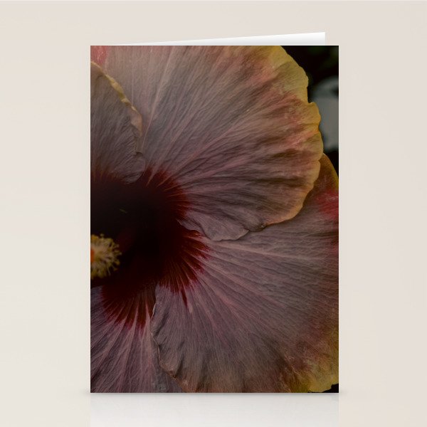 hibiscus photograph - floral botanical tropical art Stationery Card Gallery Image 2