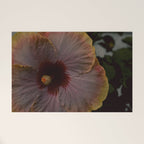 hibiscus photograph - floral botanical tropical art Welcome Mat Gallery Image 1