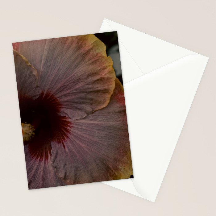 hibiscus photograph - floral botanical tropical art Stationery Card Gallery Image 2