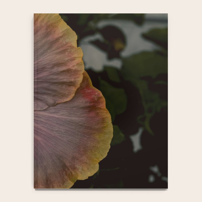 hibiscus photograph - floral botanical tropical art Notebook Gallery Image 4