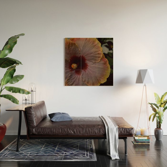 hibiscus photograph - floral botanical tropical art Wood Wall Art Gallery Image 2