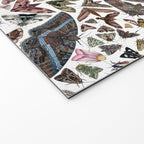 Moths of North America Pattern Welcome Mat Gallery Image 2