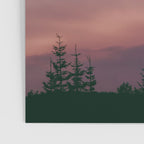 Pink Skies Poster Gallery Image 3