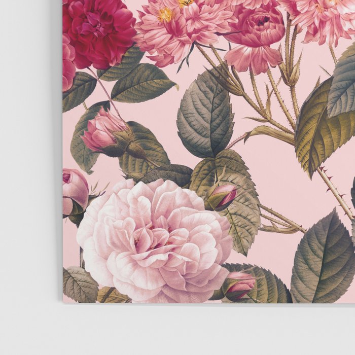 Rose Garden V Poster Gallery Image 3
