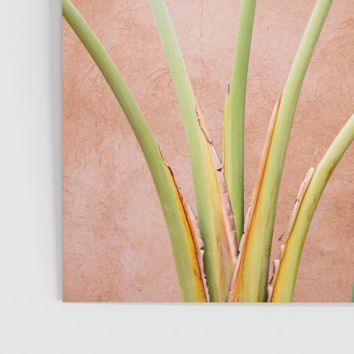 Palms of Ourika Morocco | Pastel Travel Photography Marrakech | Square Poster Gallery Image 3