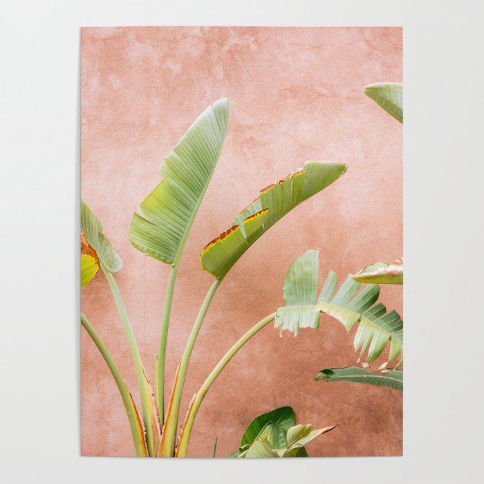 Palms of Ourika Morocco | Pastel Travel Photography Marrakech | Square Poster Gallery Image 1