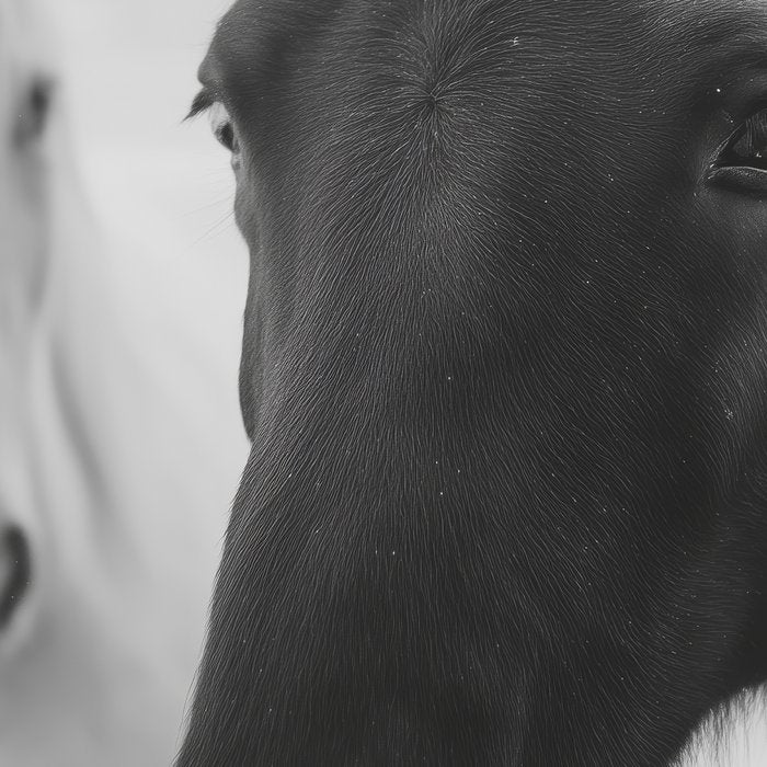 Horses in the Snow - Black and White Winter Photography Print Coffee Mug Gallery Image 2