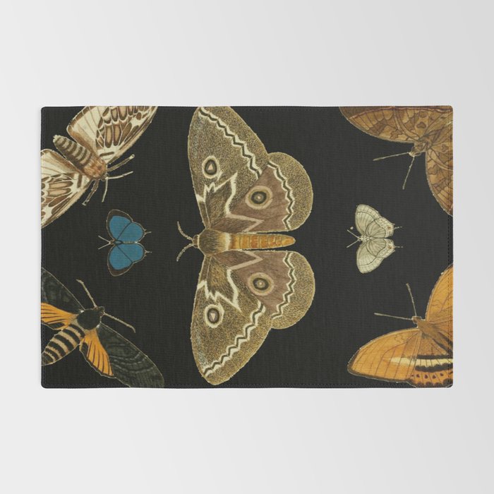 Moths Butterflies In Darkness Vintage Scientific Illustration Encyclopedia Diagram Rug Gallery Image 2