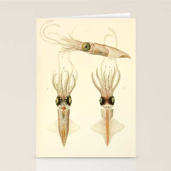 Art by Friedrich Wilhelm Winter from "Cephalopod Atlas" by Carl Chun, 1910 (benefitting Greenpeace) Stationery Card Gallery Image 2