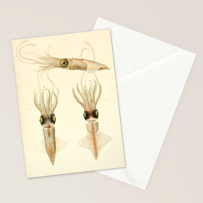 Art by Friedrich Wilhelm Winter from "Cephalopod Atlas" by Carl Chun, 1910 (benefitting Greenpeace) Stationery Card Gallery Image 2