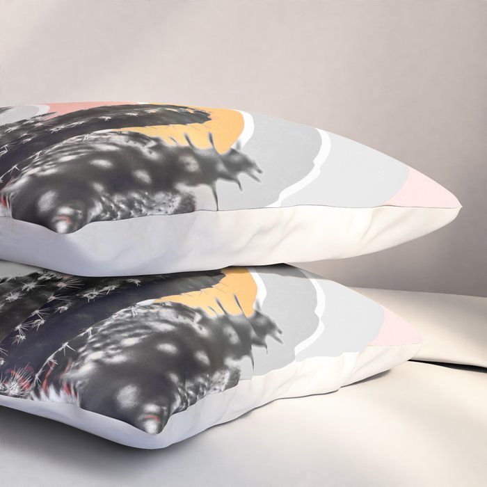 Desert rainbow Pillow Sham Gallery Image 3