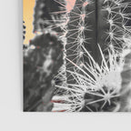 Desert rainbow Poster Gallery Image 3