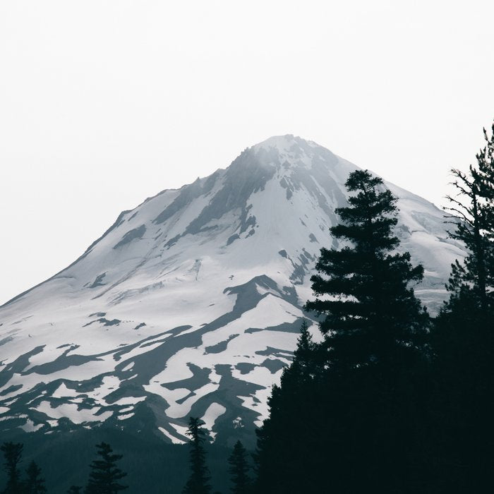 Mount Hood XV Coffee Mug Gallery Image 2