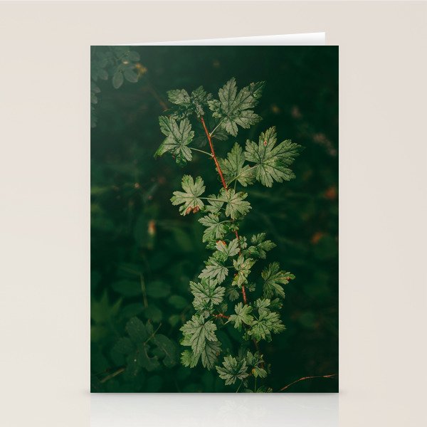 Ribes Lacustre Stationery Card Gallery Image 2