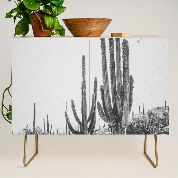 DESERT CACTUS XVII / Baja, Mexico Credenza Gallery Image 1