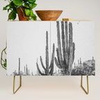 DESERT CACTUS XVII / Baja, Mexico Credenza Gallery Image 1