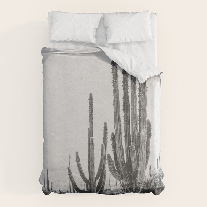 DESERT CACTUS XVII / Baja, Mexico Duvet Cover Gallery Image 1