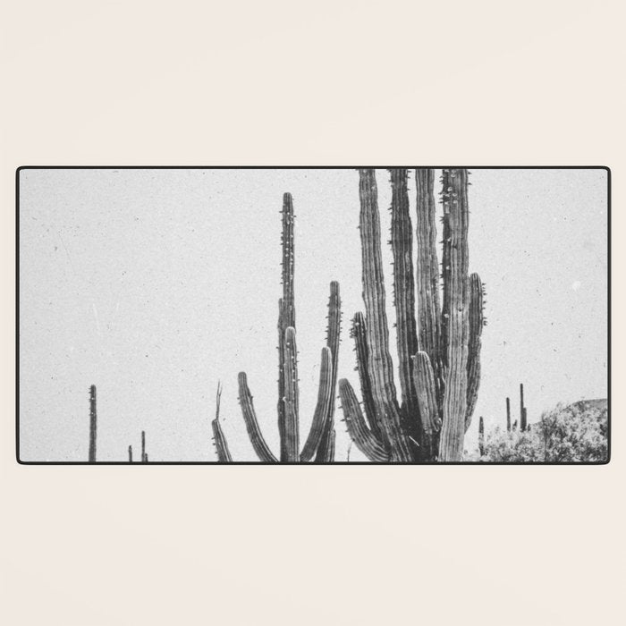 DESERT CACTUS XVII / Baja, Mexico Desk Mat Gallery Image 3