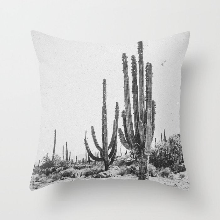 DESERT CACTUS XVII / Baja, Mexico Throw Pillow Gallery Image 6