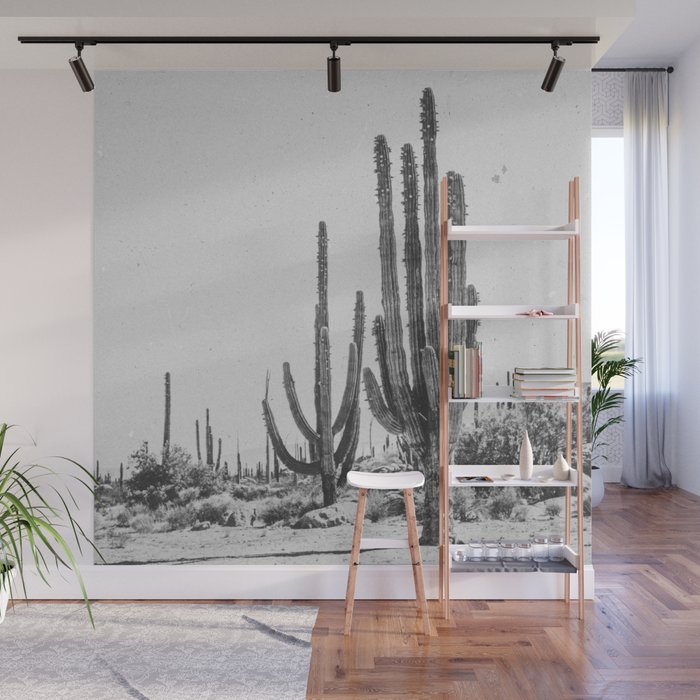 DESERT CACTUS XVII / Baja, Mexico Wall Mural Gallery Image 1