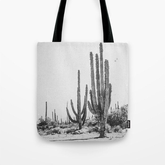 DESERT CACTUS XVII / Baja, Mexico Tote Bag Gallery Image 1