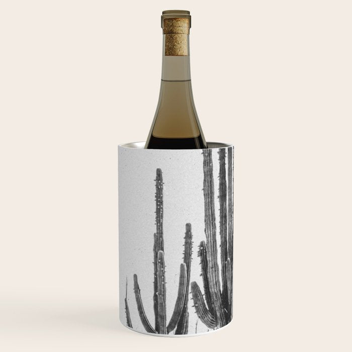 DESERT CACTUS XVII / Baja, Mexico Wine Chiller Gallery Image 1