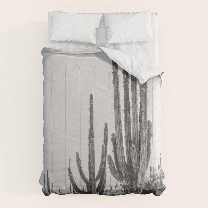 DESERT CACTUS XVII / Baja, Mexico Comforter Gallery Image 6