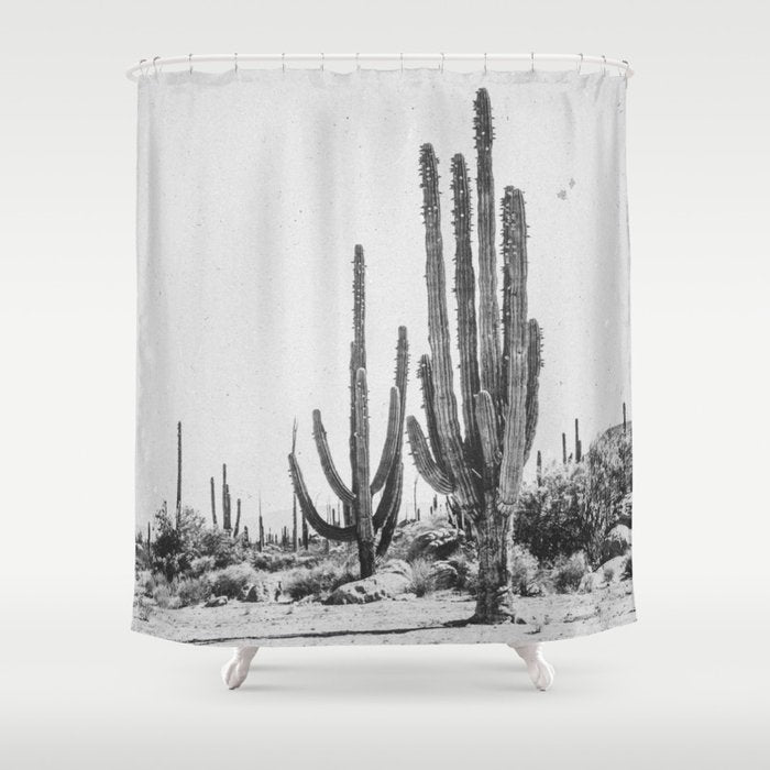 DESERT CACTUS XVII / Baja, Mexico Shower Curtain Gallery Image 1