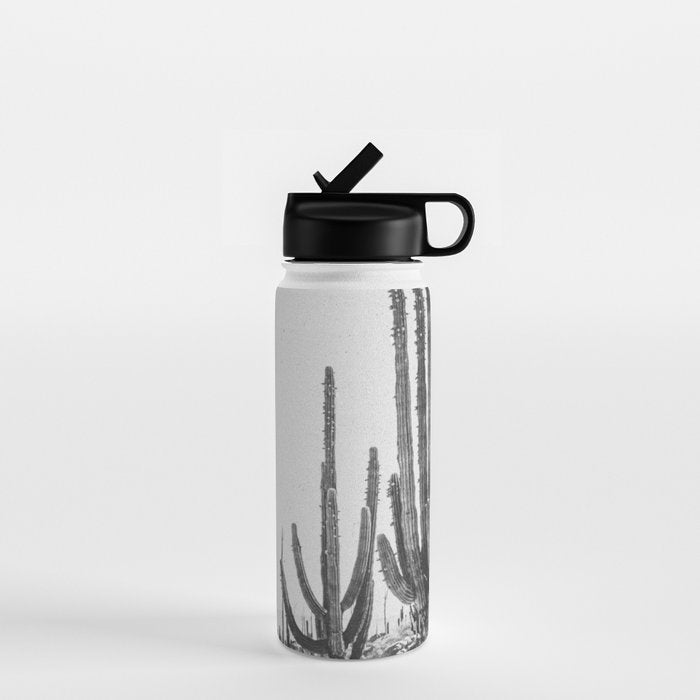 DESERT CACTUS XVII / Baja, Mexico Water Bottle Gallery Image 1