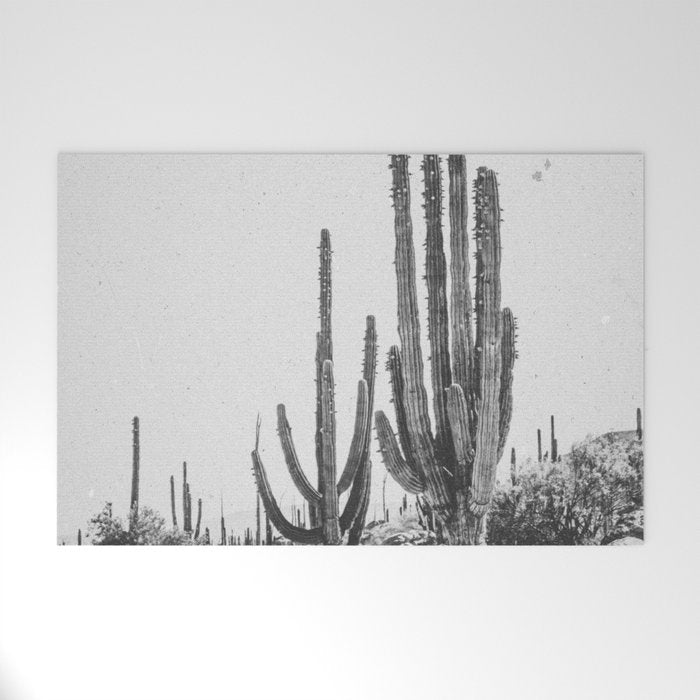 DESERT CACTUS XVII / Baja, Mexico Welcome Mat Gallery Image 1